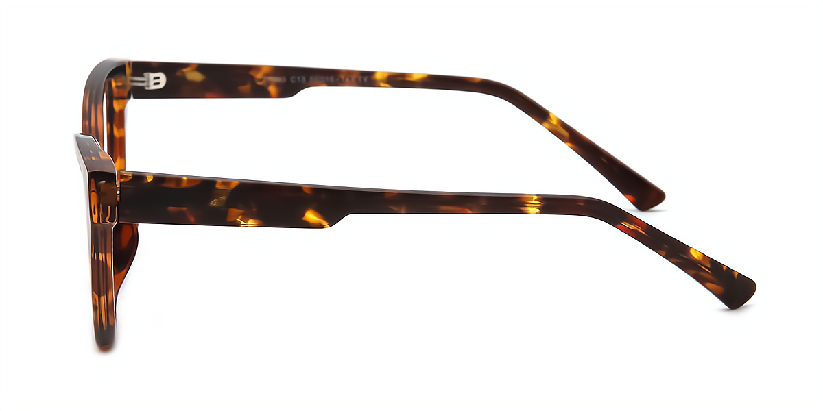 Tortoise Cat Eye Unique TR90 Eyeglasses