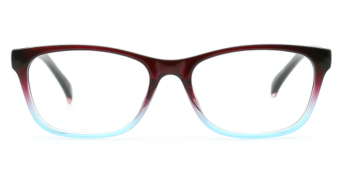 Rectangle Plastic Eyeglasses