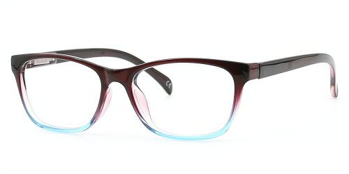 Rectangle Plastic Eyeglasses