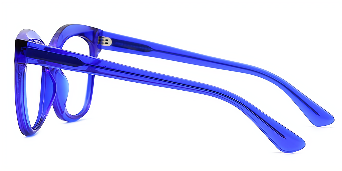 Blue Square Wide Modish Acetate Eyeglasses