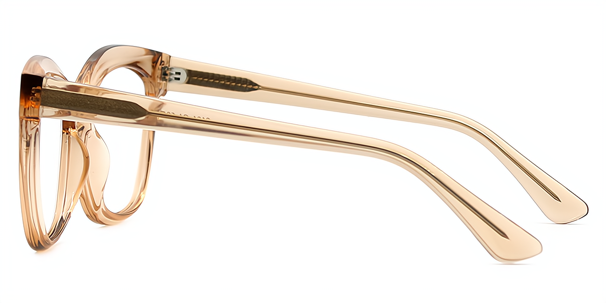 Brown Square Wide Modish Acetate Eyeglasses