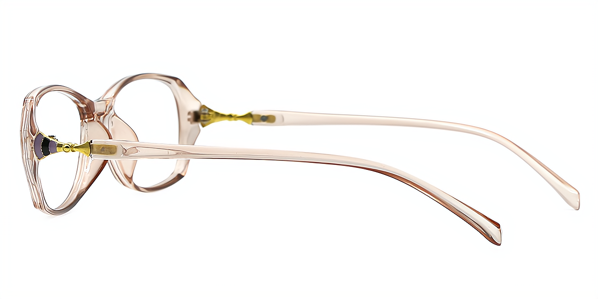 Brown Oval Classic Plastic Eyeglasses