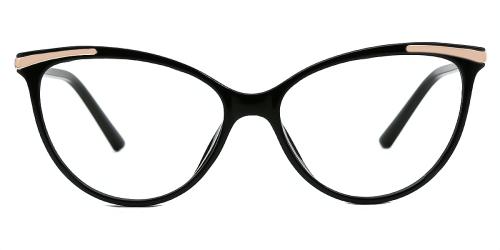 Cat Eye Exquisite TR90 Eyeglasses