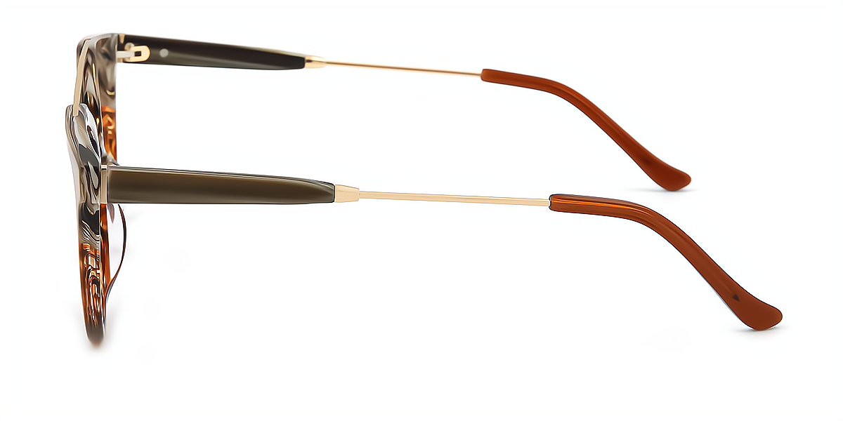 Brown Aviator Exquisite Mixed Materials Eyeglasses