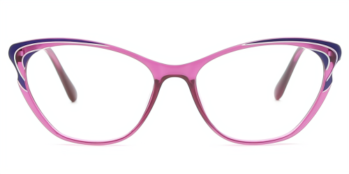 Cat Eye Exquisite TR90 Eyeglasses