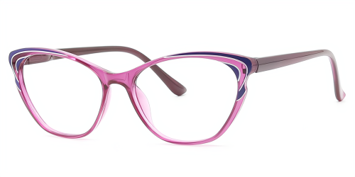 Cat Eye Exquisite TR90 Eyeglasses