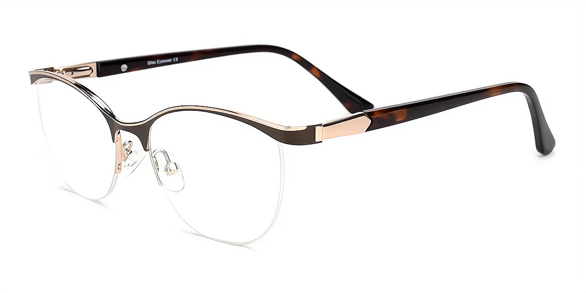 Brown Browline Classic Thin Metal Eyeglasses