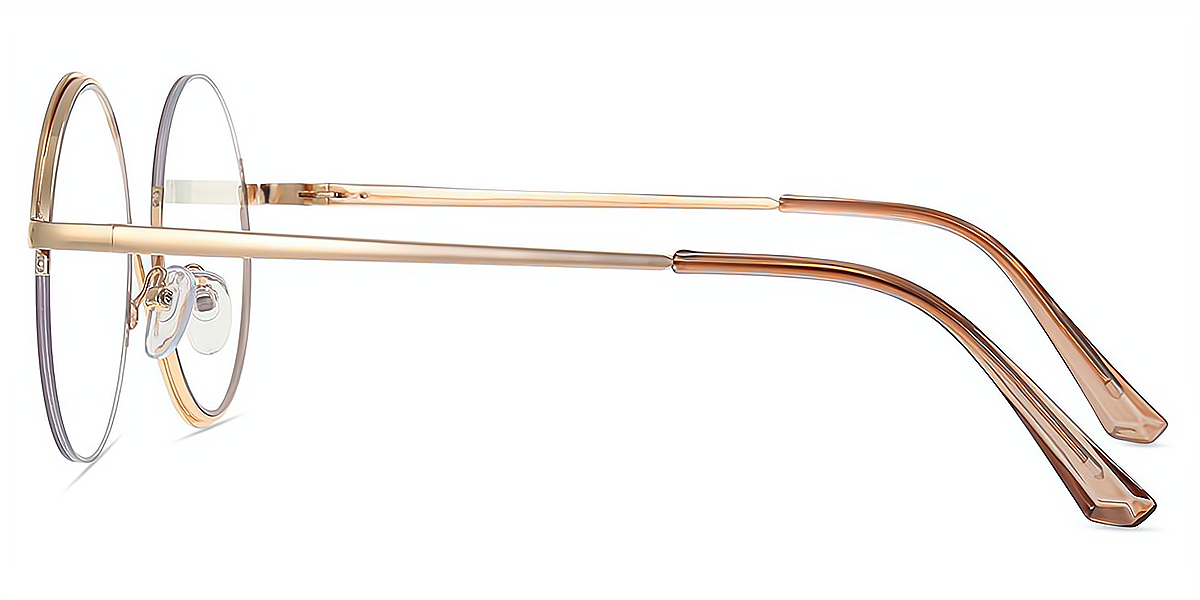 Tortoise Round Exquisite Metal Eyeglasses