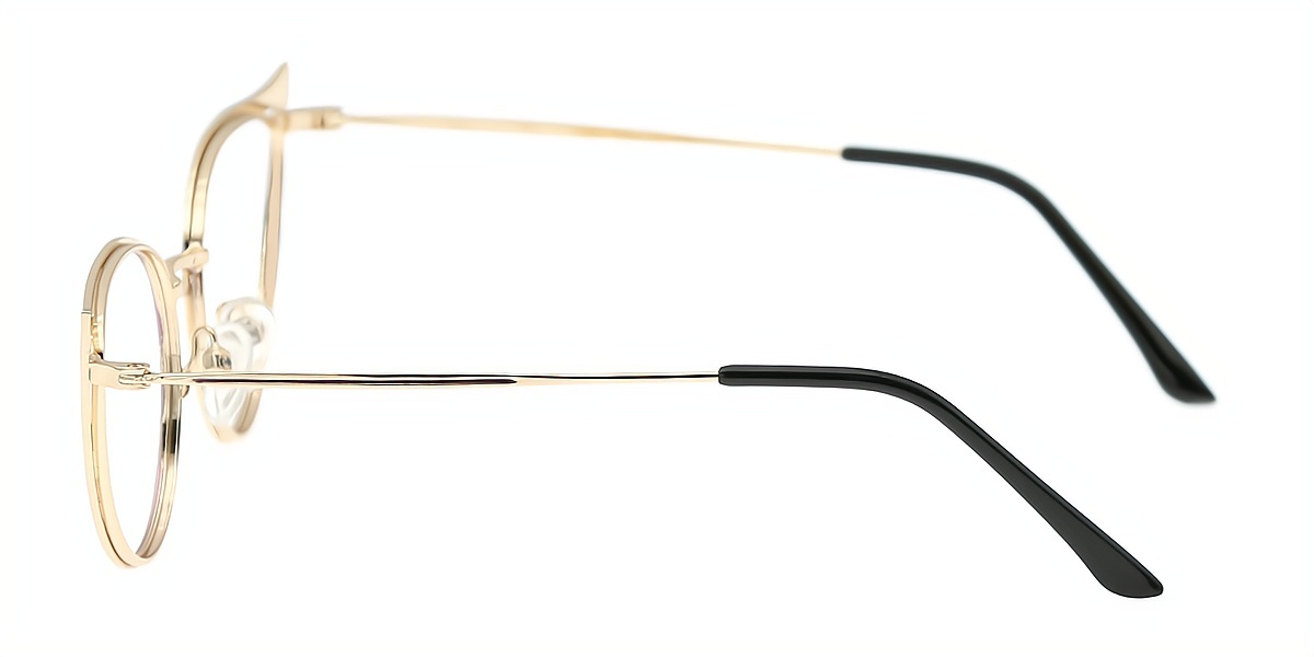 Purple Cat Eye Chic Unique Metal Eyeglasses