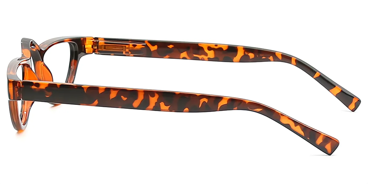 Tortoise Geometric Unique Lightweight Plastic Eyeglasses