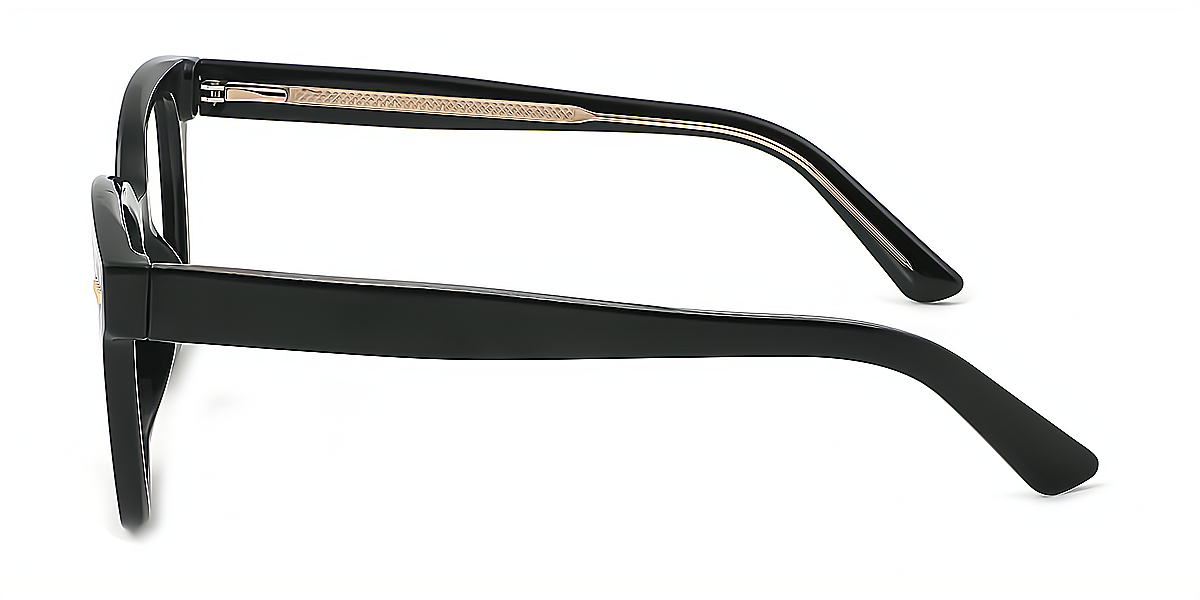 Black Rectangle Chic Acetate Eyeglasses