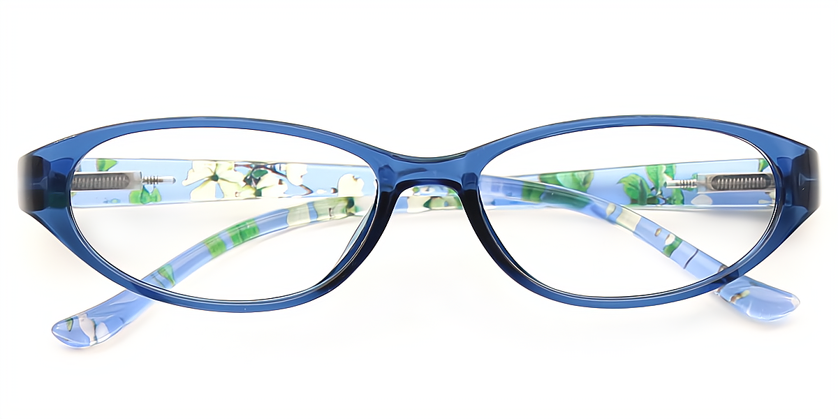 Blue Oval Retro Plastic Eyeglasses