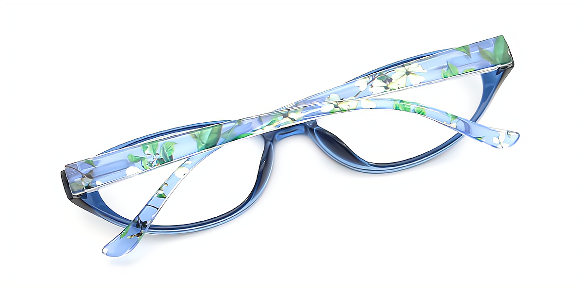 Blue Oval Retro Plastic Eyeglasses