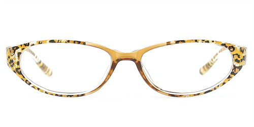 Oval Classic Plastic Eyeglasses