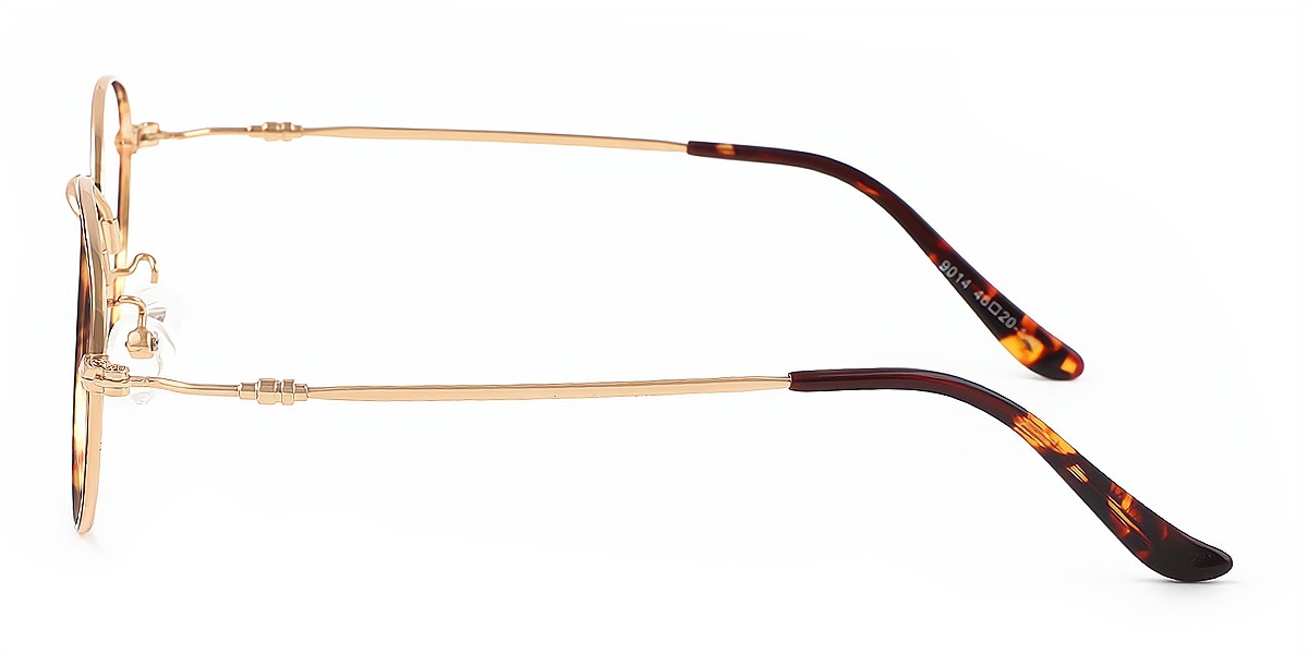 Tortoise Oval Exquisite TR90 Eyeglasses