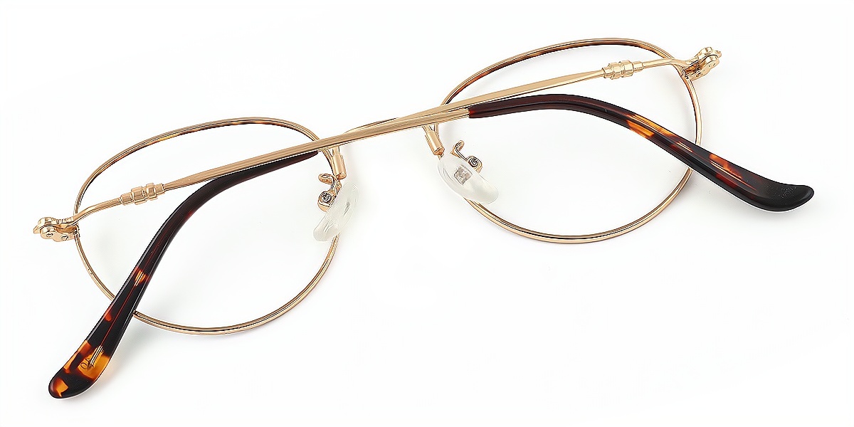 Tortoise Oval Exquisite TR90 Eyeglasses