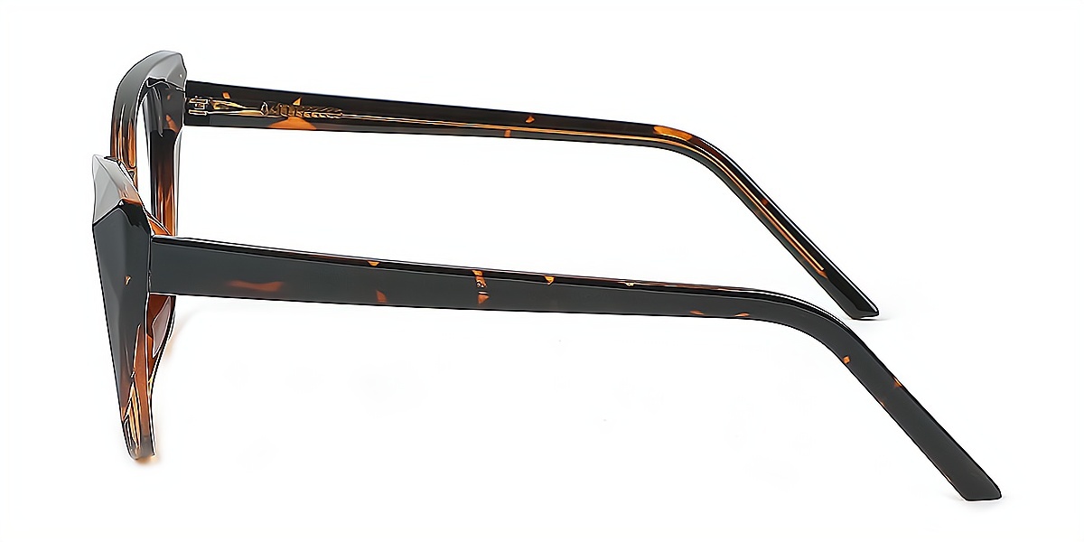 Tortoise Cat Eye Exquisite Modish TR90 Eyeglasses
