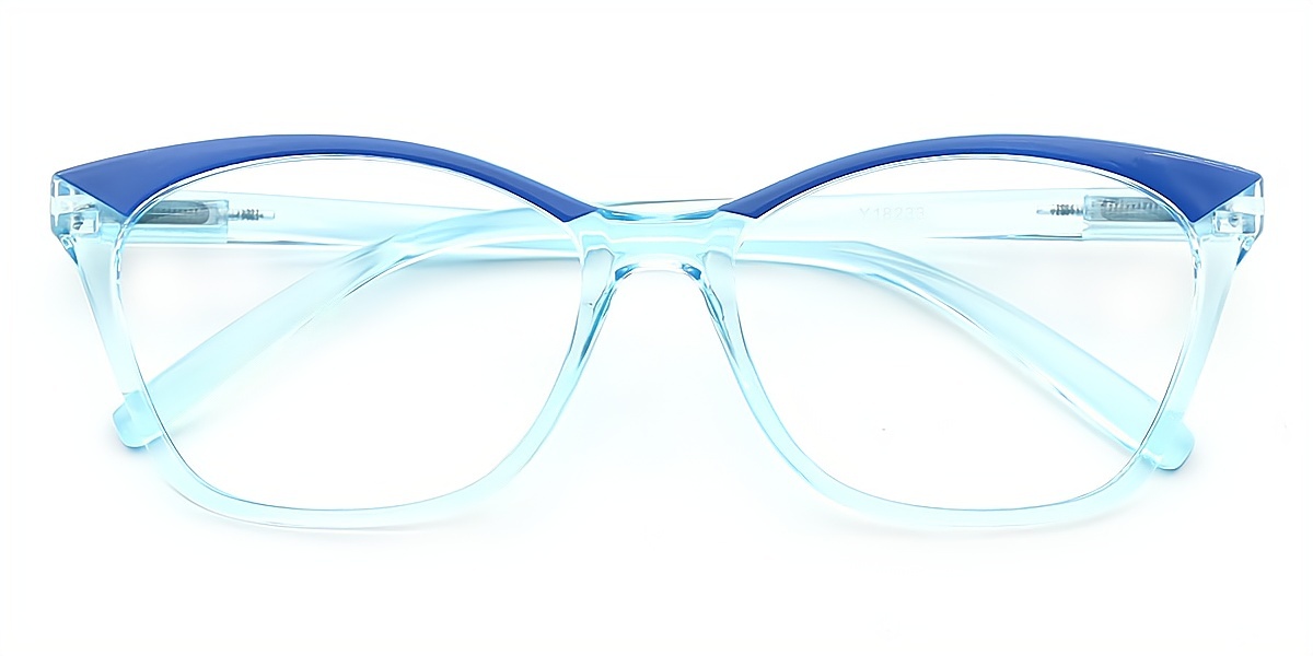 Blue Cat Eye Modish Plastic Eyeglasses