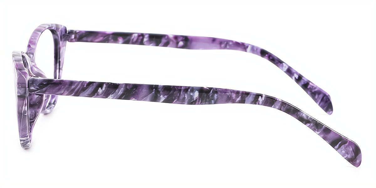 Purple Cat Eye Chic Elegant Plastic Eyeglasses