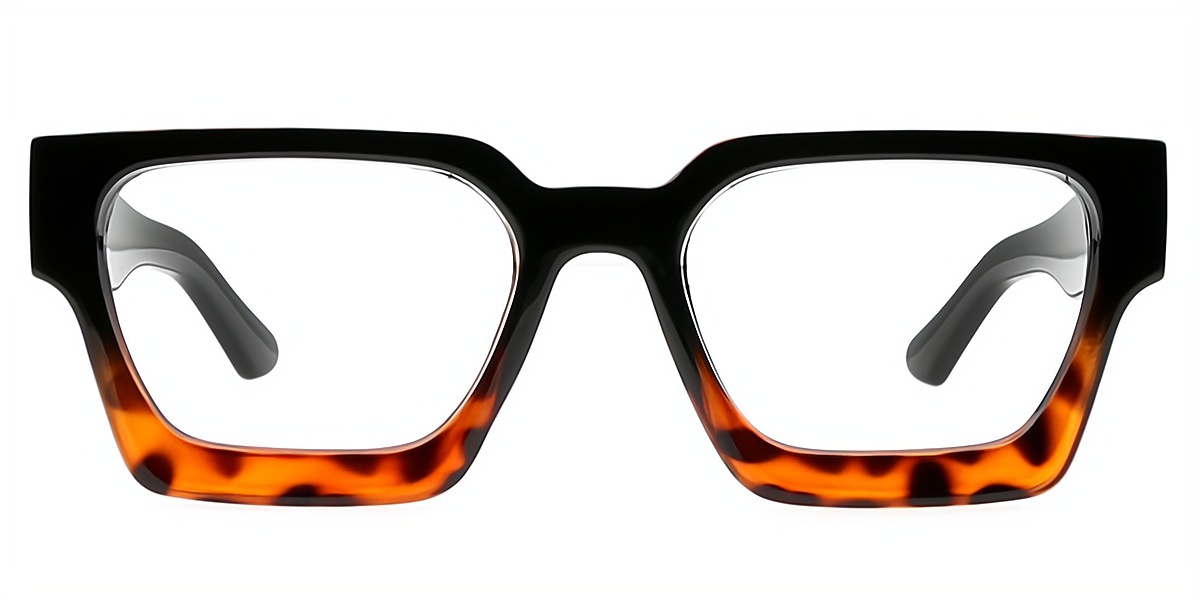 Tortoise Geometric Simple Horn Plastic Eyeglasses