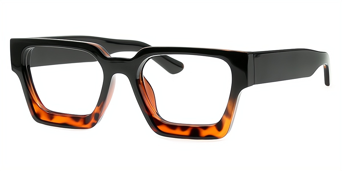 Tortoise Geometric Simple Horn Plastic Eyeglasses