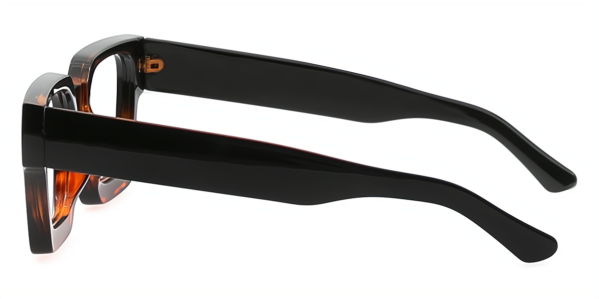 Tortoise Geometric Simple Horn Plastic Eyeglasses