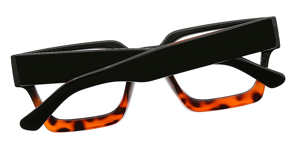 Tortoise Geometric Simple Horn Plastic Eyeglasses