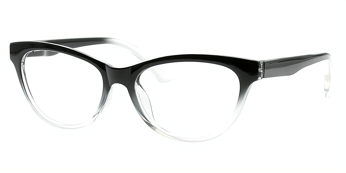 Black Cat Eye Simple Plastic Eyeglasses