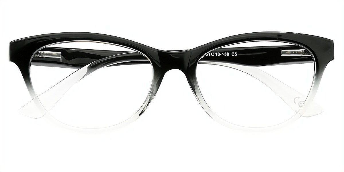 Black Cat Eye Simple Plastic Eyeglasses