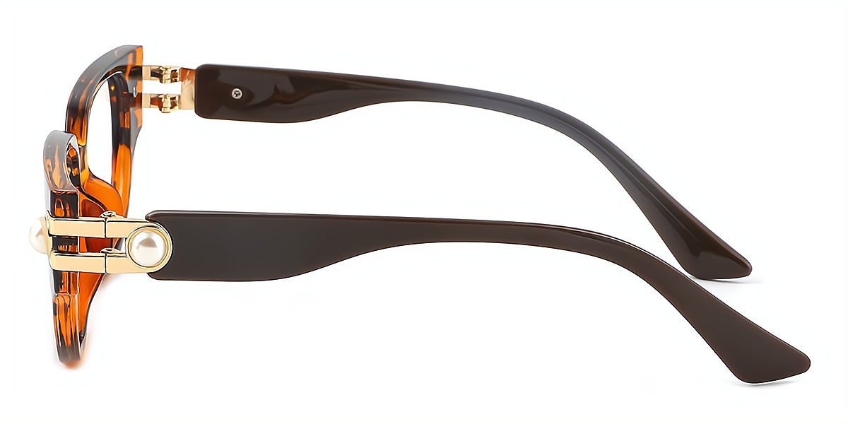 Tortoise Cat Eye Exquisite Plastic Eyeglasses