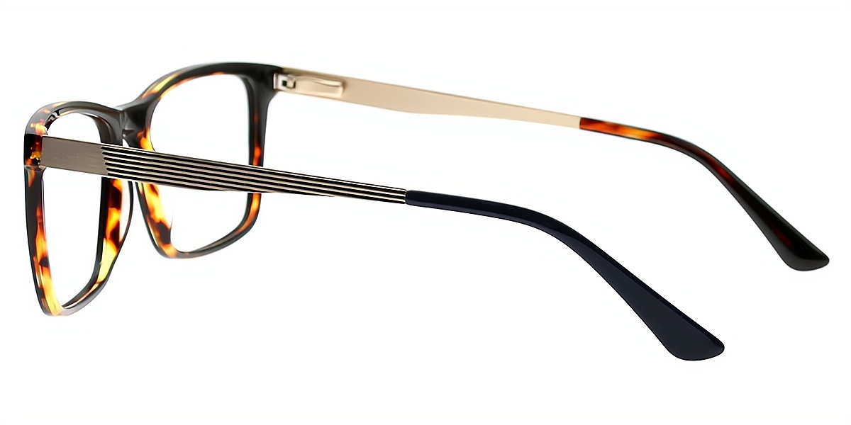 Tortoise Rectangle Classic Horn Acetate Eyeglasses