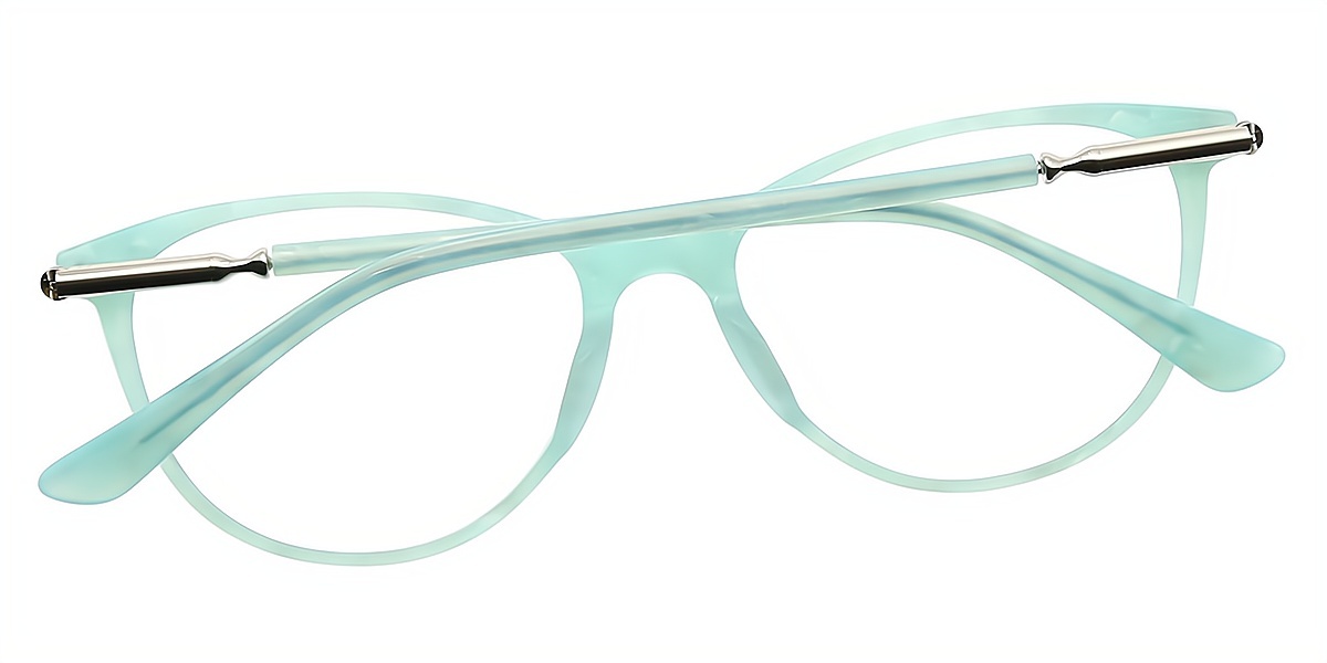 Blue Cat Eye Exquisite Acetate Eyeglasses