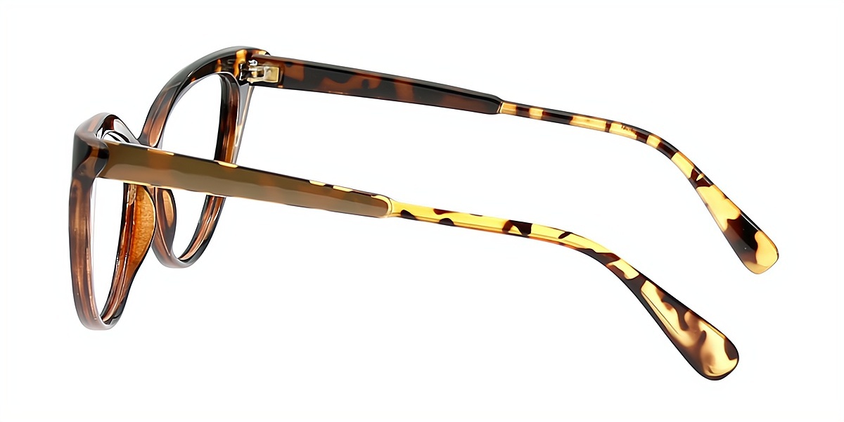 Tortoise Cat Eye Chic Oversized Plastic Eyeglasses