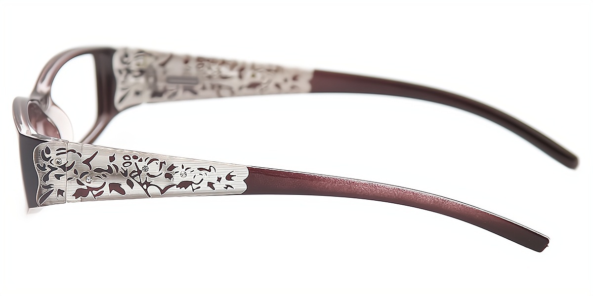 Brown Rectangle Retro Plastic Eyeglasses