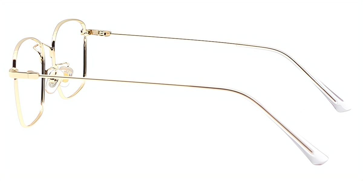 Red Rectangle Simple Metal Eyeglasses