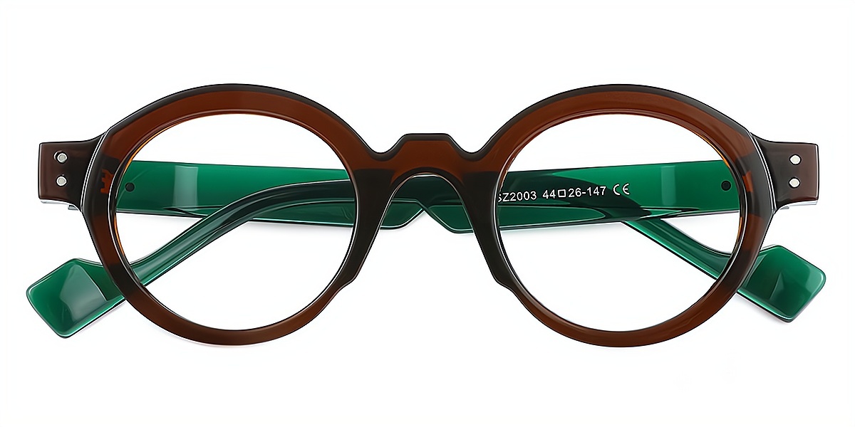 Brown Round Retro Plastic Eyeglasses