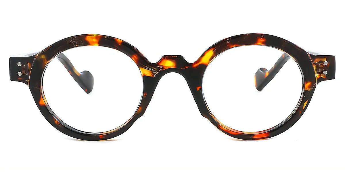 Tortoise Round Retro Plastic Eyeglasses