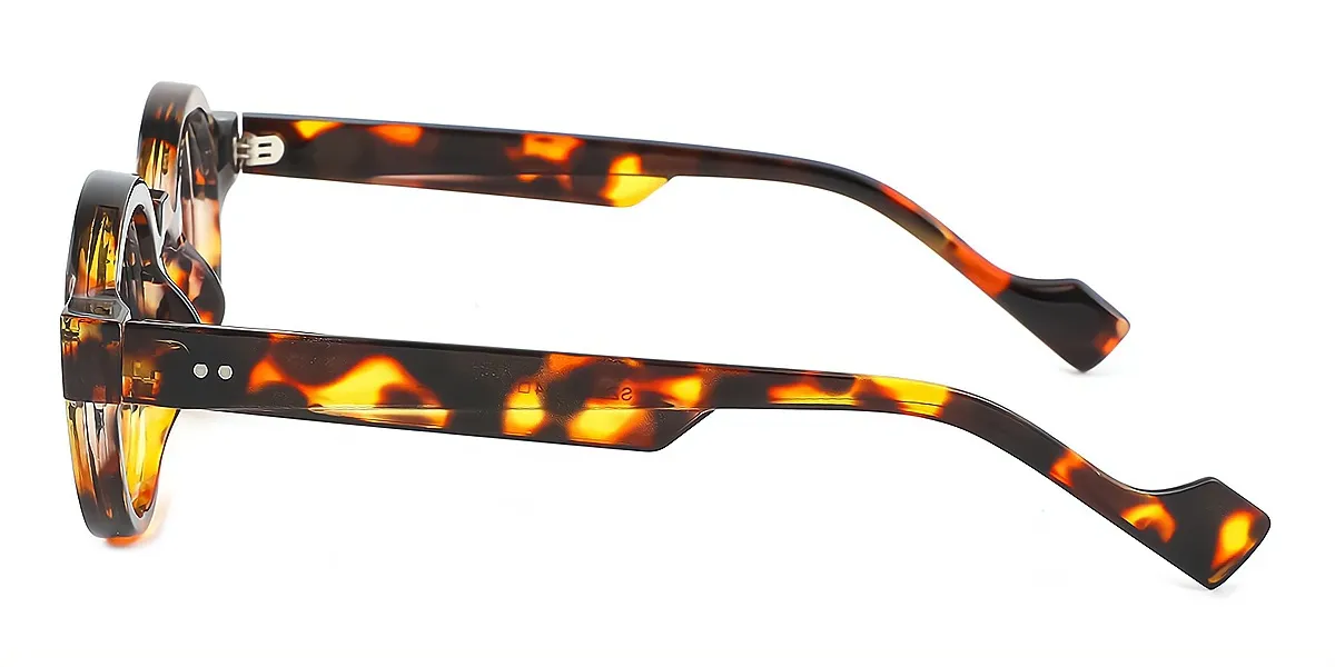 Tortoise Round Retro Plastic Eyeglasses