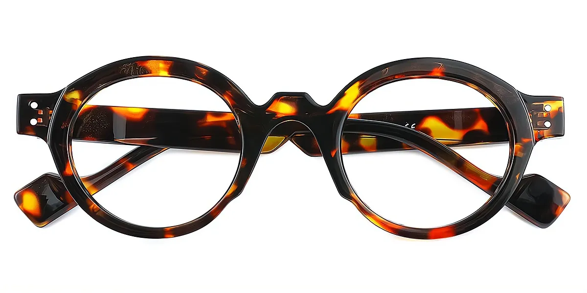 Tortoise Round Retro Plastic Eyeglasses