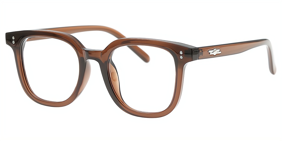 Brown Horn Simple Acetate Eyeglasses