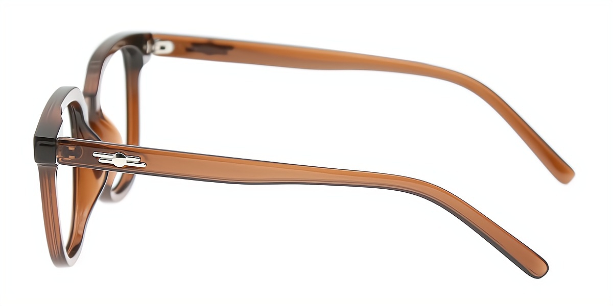 Brown Horn Simple Acetate Eyeglasses