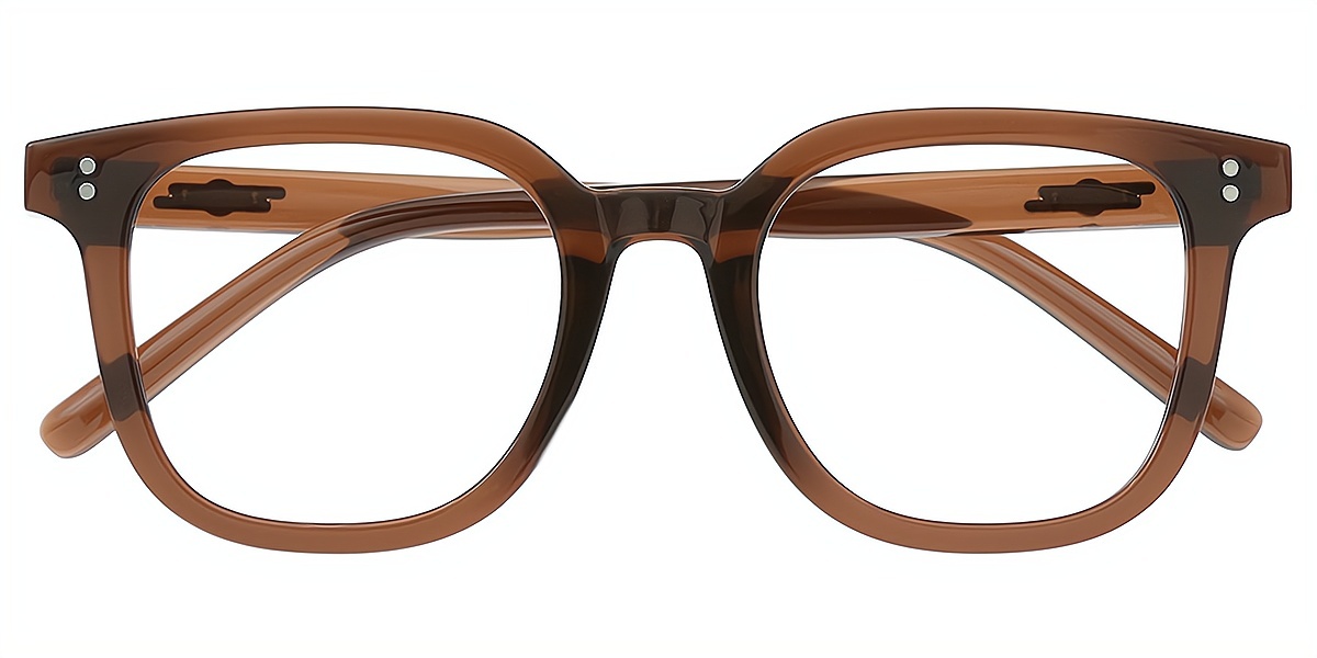 Brown Horn Simple Acetate Eyeglasses