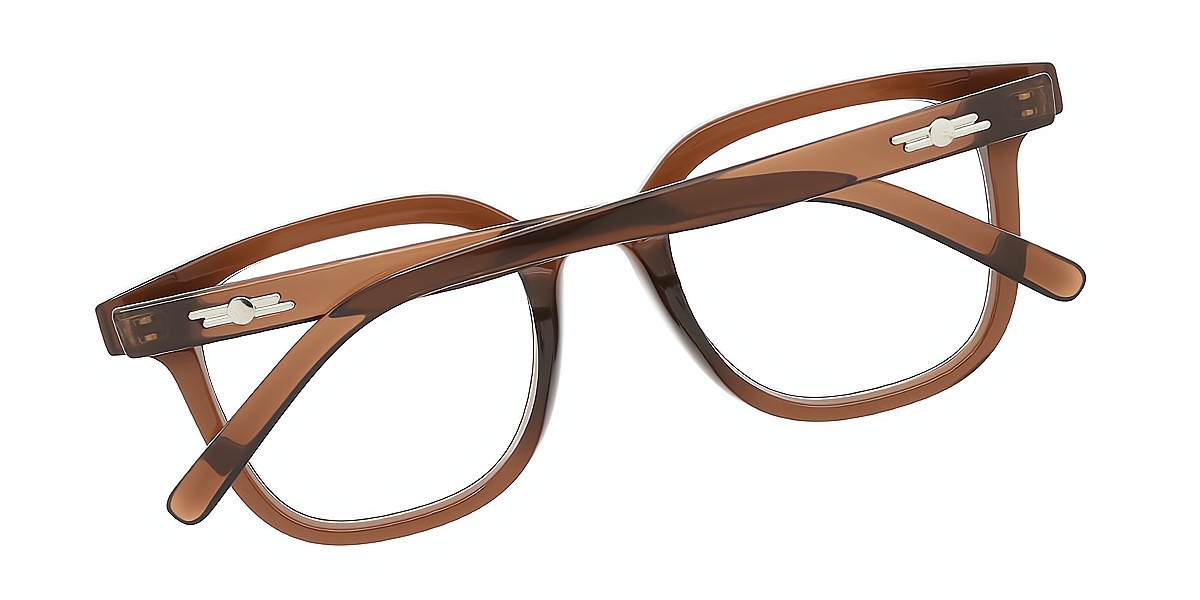 Brown Horn Simple Acetate Eyeglasses