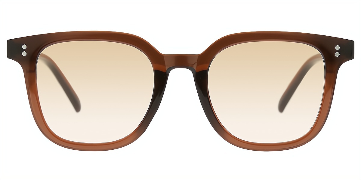 Brown Horn Simple Acetate Eyeglasses