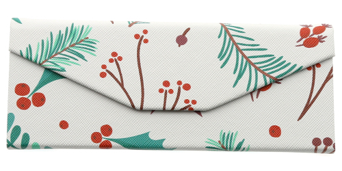 Foldable Glasses Case