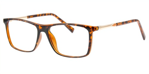 Rectangle Eyeglasses