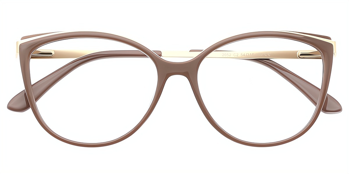 Brown Cat Eye Modish Mixed Materials Eyeglasses