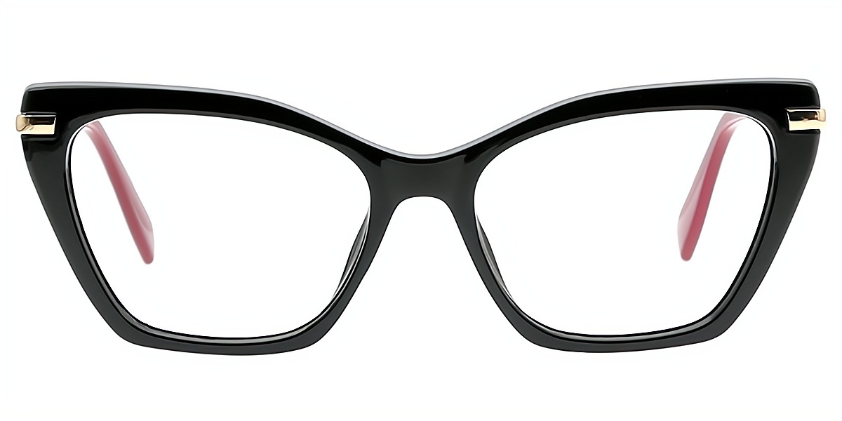 Black Cat Eye Modish Mixed Materials Eyeglasses