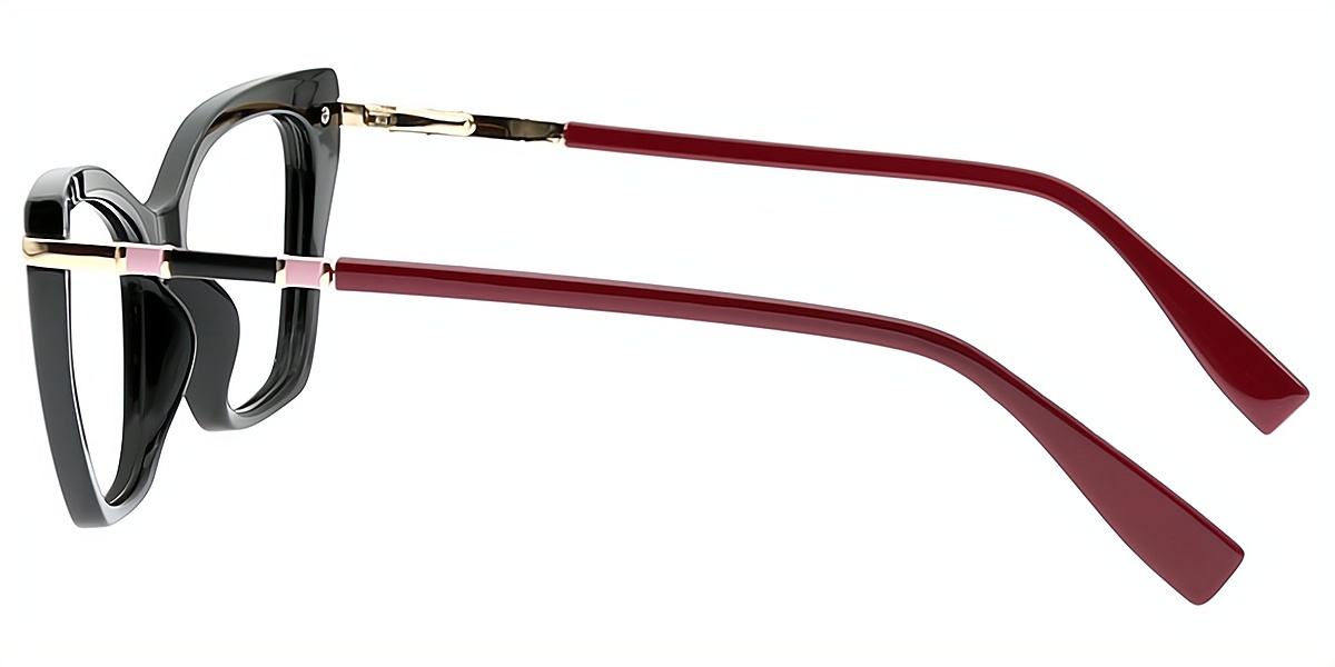 Black Cat Eye Modish Mixed Materials Eyeglasses