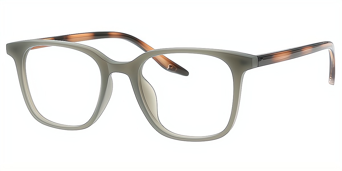 Gray Horn Classic TR90 Eyeglasses